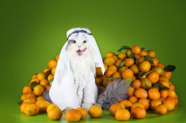 cat in costume Sheikh sells tangerines clipart