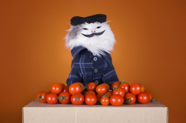 kedi Gürcü elbiseli domates satıyor