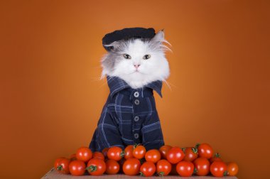 kedi Gürcü elbiseli domates satıyor