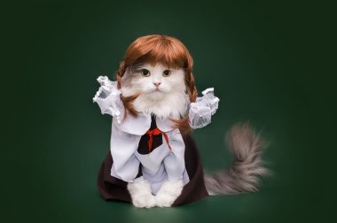 elbise kız öğrenci kedi