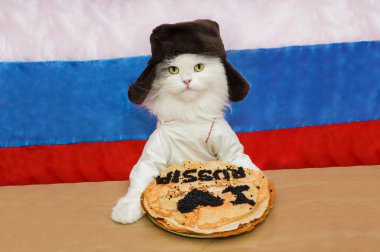 Rus kedi havyar yiyor 