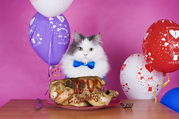 Katze frisst gegrilltes Huhn auf einem Hintergrund aus bunten Luftballons — Stockfoto