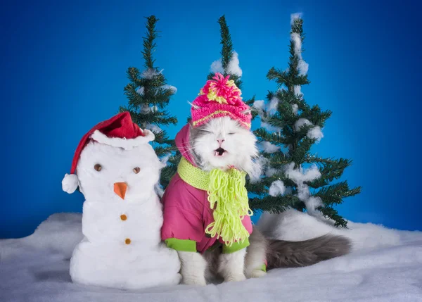 Junges Kätzchen bastelt im Wald einen Schneemann — Stockfoto