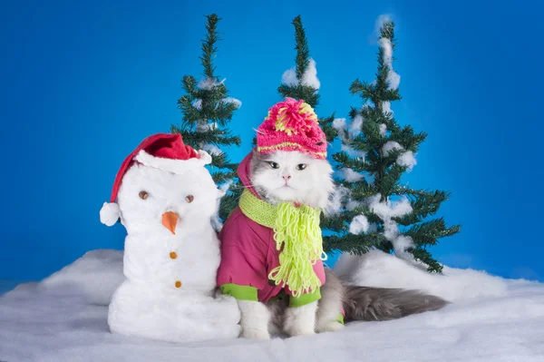 Junges Kätzchen bastelt im Wald einen Schneemann — Stockfoto