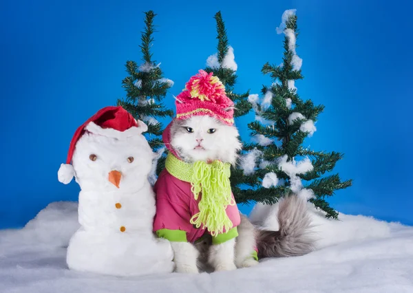 Junges Kätzchen bastelt im Wald einen Schneemann — Stockfoto