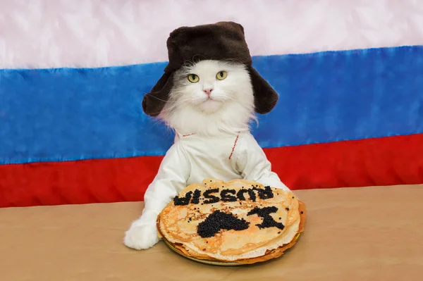 Russische Katze frisst Kaviar — Stockfoto