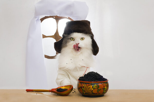 Russian cat eats caviar 