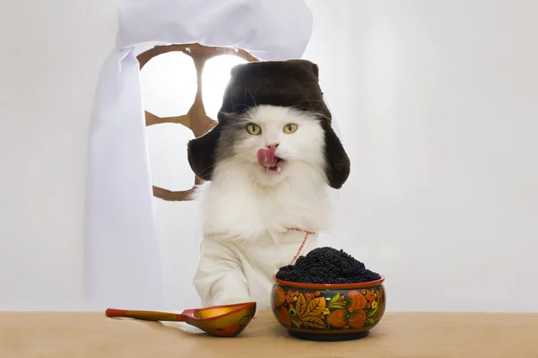 ᐈ Коты и деньги фото, фотографии кот деньги | скачать на Depositphotos®