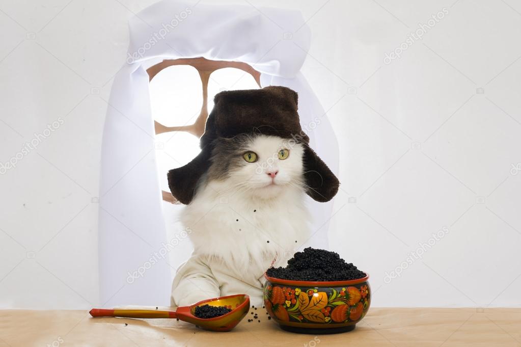 Russian cat eats caviar 