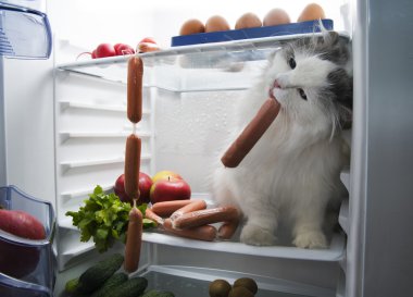 cat steals sausage from the refrigerator clipart