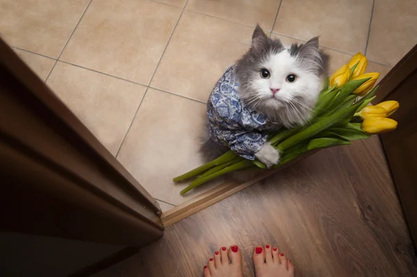 Katze mit Strauß zu Füßen ihrer Herrin — Stockfoto