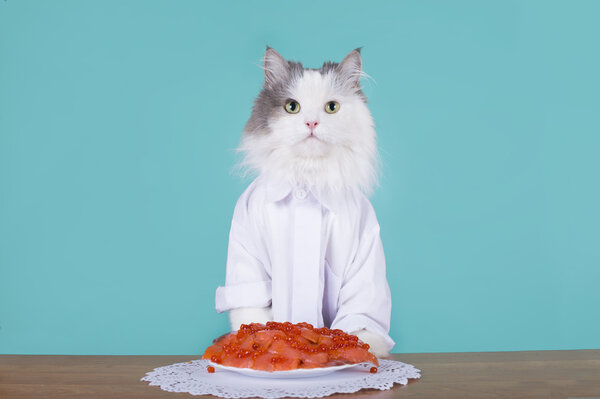 tasty surprise for the cat