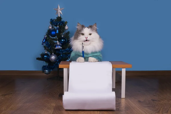 Cat writes a letter to Santa Claus — Stock Photo, Image