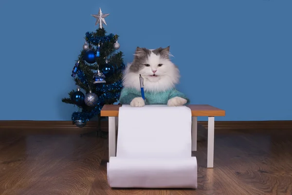 Cat writes a letter to Santa Claus — Stock Photo, Image