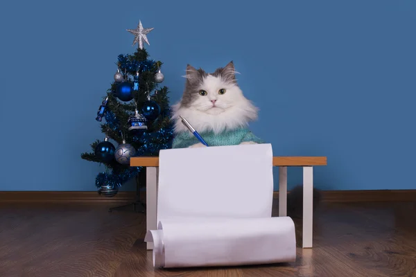 Katze schreibt einen Brief an Weihnachtsmann — Stockfoto