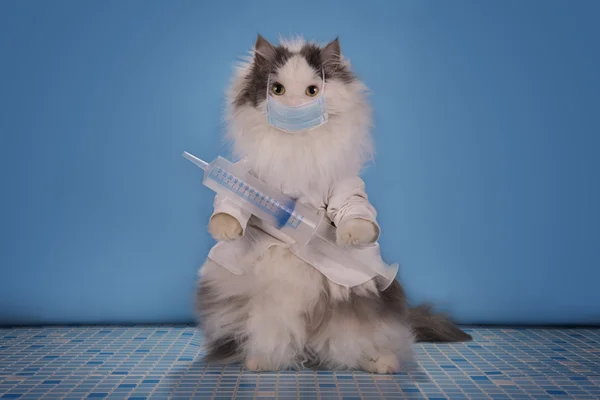 Кот в костюме врача рассказывает, как бороться с инфарктом миокарда — стоковое фото