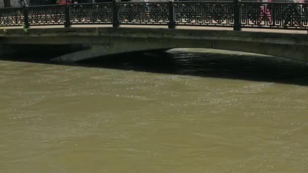 Βρόμικο ποτάμι που ρέει κάτω από μικρή γέφυρα — Αρχείο Βίντεο