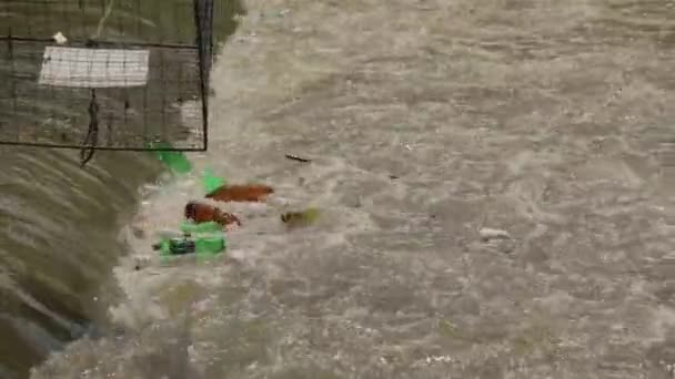 Verschmutzter Fluss wird mit Spezialmaschinen gereinigt — Stockvideo