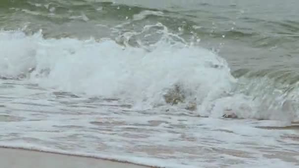 Морские волны моют берег — стоковое видео