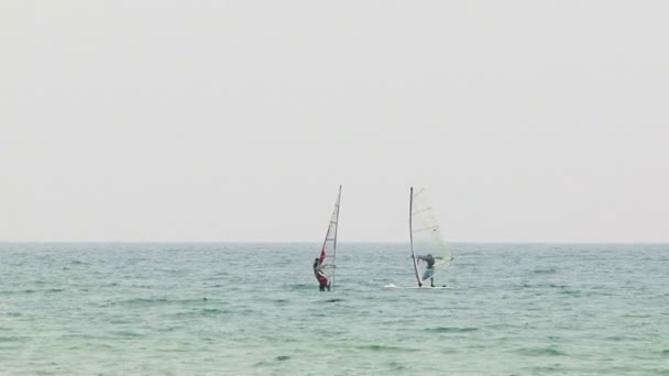 Windsurfers Meet In the Sea — Stock Video