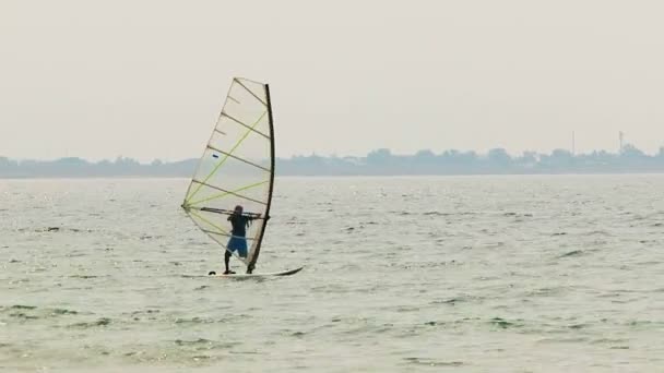 Windsurfer Slowly Sailing in the Sea — Stock Video