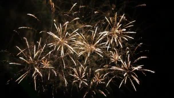 Hermosos fuegos artificiales que explotan en el fondo negro. Moción lenta . — Vídeos de Stock