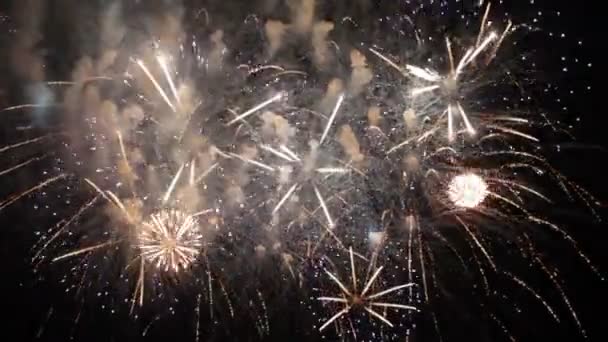 Bellissimi fuochi d'artificio esplodono su sfondo nero in lenta mo — Video Stock