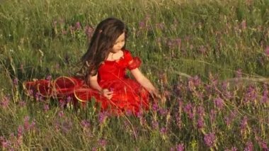 Lavanta alanında güzel küçük kız