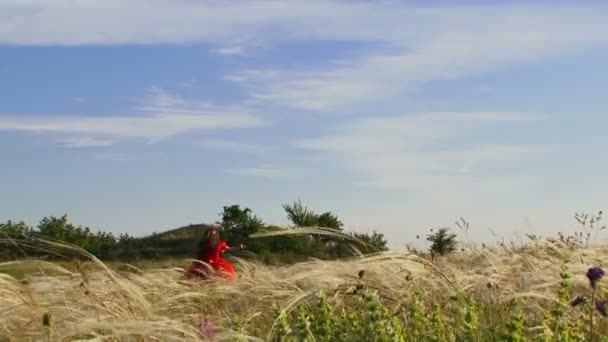 Beautiful Little Girl Running in Green Field — Stock Video