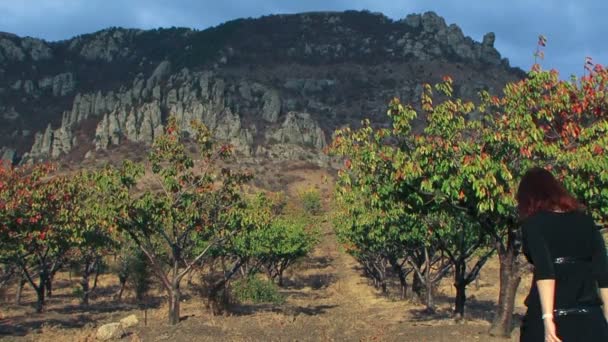 Jeune femme en robe noire marchant vers les arbres verts — Video