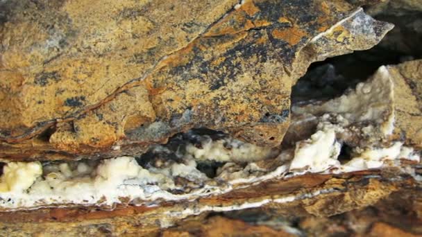 Laminated Limestone Rocks Formations At Cape Tarkhankut Near Black Sea — Stock Video