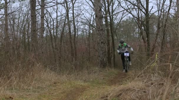 Ledare. Mountainbikecyklister Racing i skogen — Stockvideo