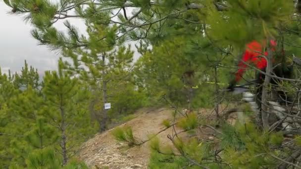 Úvodník. Jeden cyklista pomalu z kopce v zeleném lese — Stock video