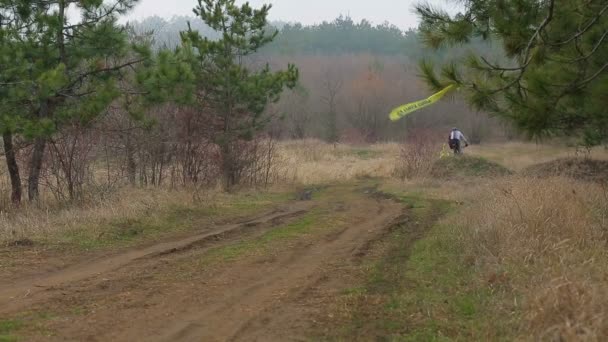 Yazı işleri. Birkaç bisikletçiler hızlı çam ormanı içinde hareket — Stok video