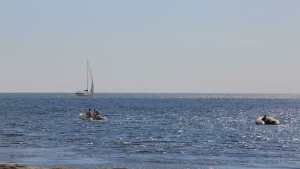 Две лодки и яхта, плывущие по морю — стоковое видео