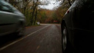 Sonbahar Ormanı'nda Sarma Yol Boyunca Binek Araç Sürüşü
