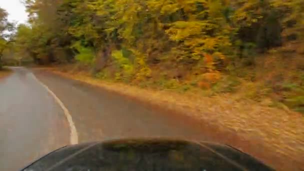 Une voiture de tourisme conduisant rapidement le long de la route dans la forêt d'automne — Video