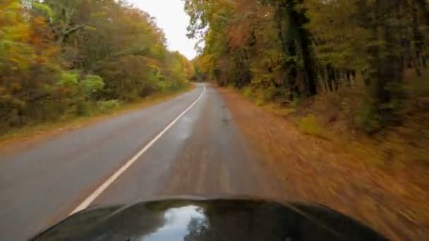 Jeden pasażer kabinę poruszającą się wzdłuż drogi asfaltowej w jesień las — Wideo stockowe