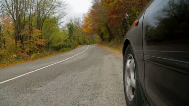 Carro dirigindo ao longo da estrada na floresta de outono — Vídeo de Stock