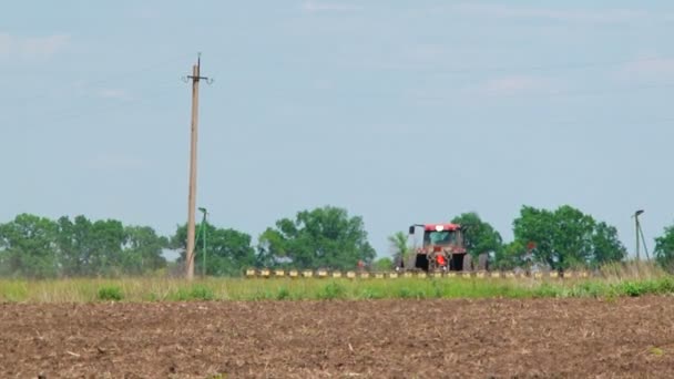 Trator com semeadora semeando colheitas no campo — Vídeo de Stock