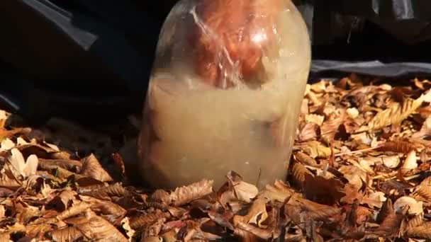 Scuro dai capelli donna in spruzzare fangoso acqua in vaso a natura — Video Stock