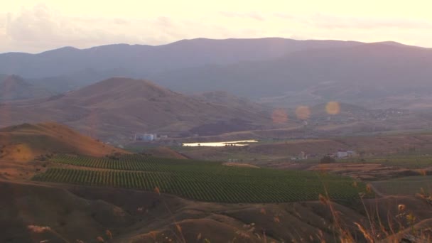 Terreno aberto com plantações verdes — Vídeo de Stock