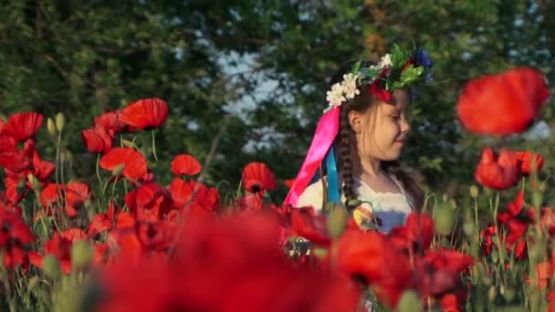 Poppies alanında küçük kız — Stok video