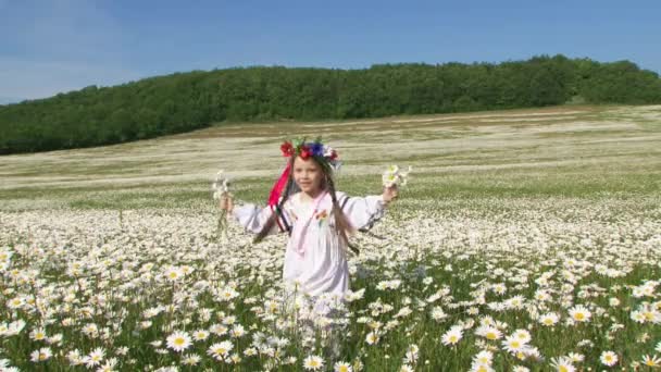 Menina bonito em se divertir no campo de camomilas — Vídeo de Stock