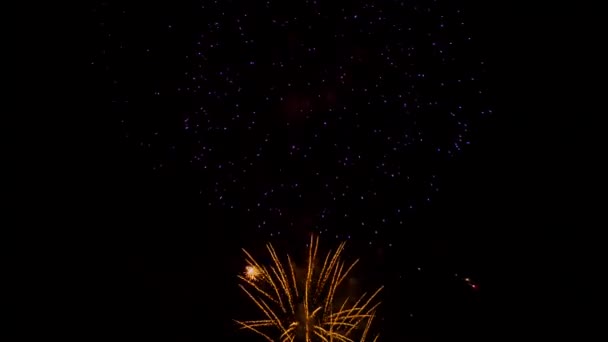 Fuegos artificiales multicolores chispeantes en el cielo nocturno de vacaciones — Vídeo de stock