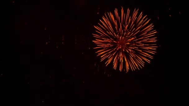 巨大なサークルと黄金の雨で花火を夜空に表示します。 — ストック動画