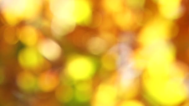 Feuilles d'automne floues déplacées par le vent 