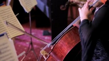 Profesyonel Çellist Çello Üzerine Klasik Müzik Çalma