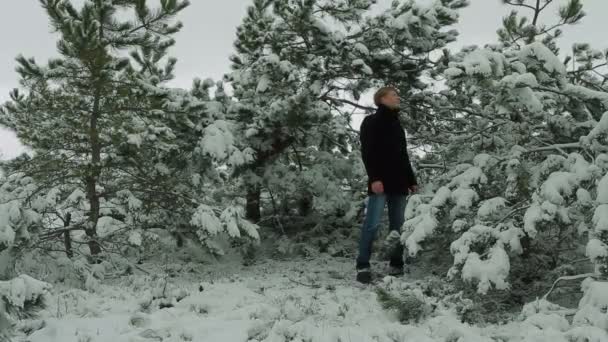 Giovane artista che canta nella foresta invernale — Video Stock