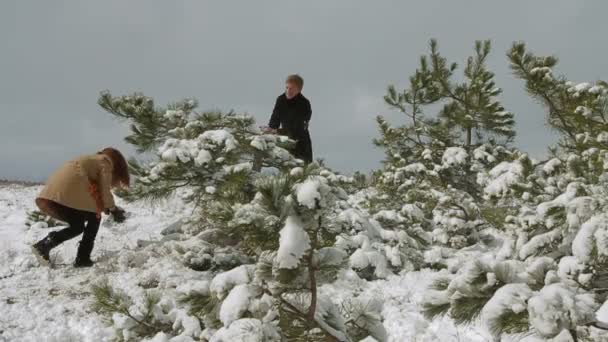 Szczęśliwa para gra śnieżkami w Winter Park — Wideo stockowe